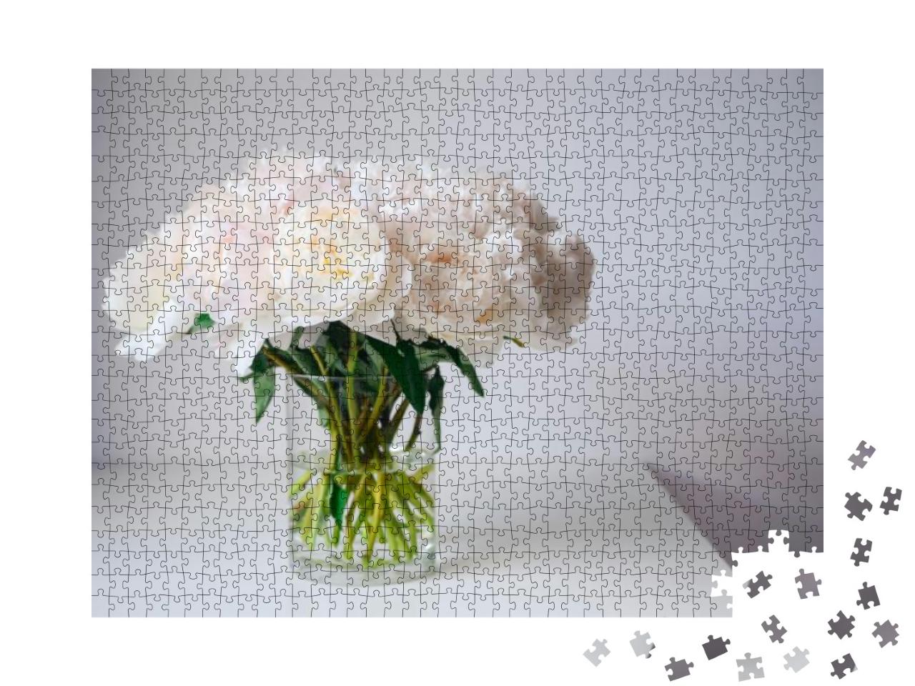 Delicate Bouquet of Fresh White Peonies in Glass Vase on... Jigsaw Puzzle with 1000 pieces