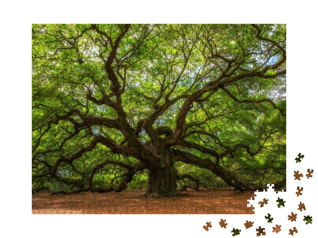 Angle Oak Tree in Johns Island, South Carolina... Jigsaw Puzzle with 1000 pieces
