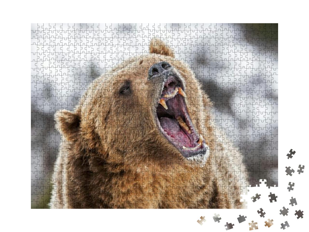 Grizzly Roaring a Warning... Jigsaw Puzzle with 1000 pieces