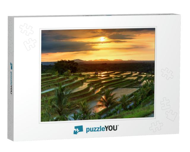 Famous Jatiluwih Rice Terraces on Bali During Sunrise, In... Jigsaw Puzzle