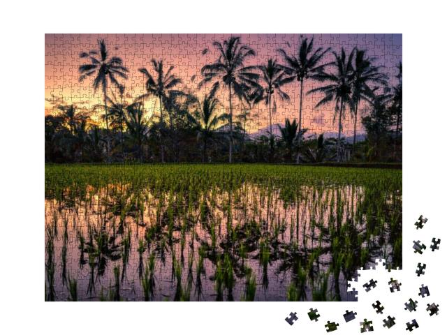 Rice Field Coconuts Trees Reflection Water Bali, Indonesi... Jigsaw Puzzle with 1000 pieces