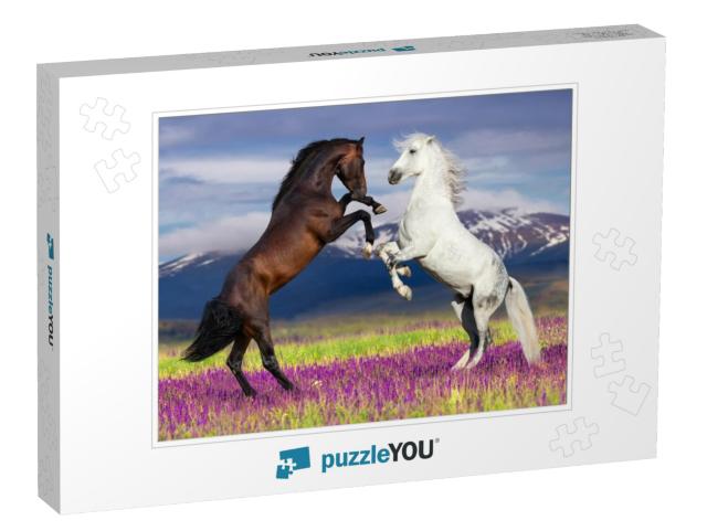 Two Horse Rearing Up Against Mountain View in Flower Fiel... Jigsaw Puzzle