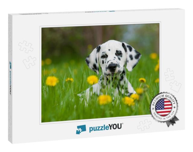 Dalmatian Dog... Jigsaw Puzzle