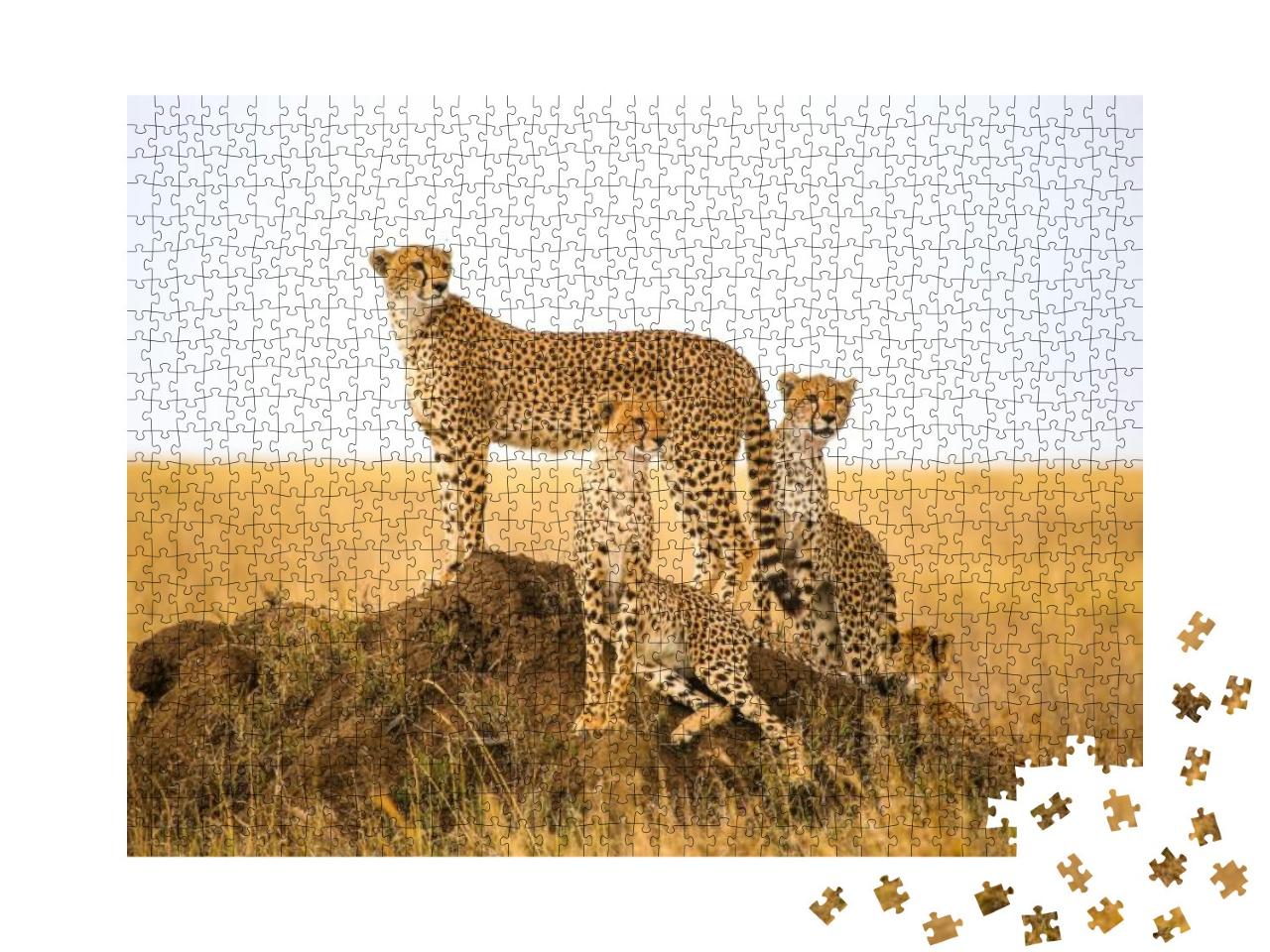 Cheetahs Watching Prey in Serengeti National Park, Tanzan... Jigsaw Puzzle with 1000 pieces