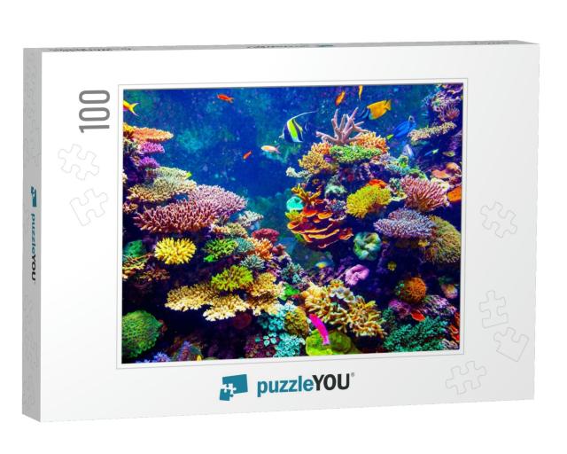 Coral Reef & Tropical Fish in Sunlight. Singapore Aquariu... Jigsaw Puzzle with 100 pieces