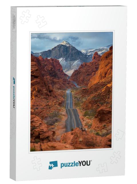 A Beautiful Shot of a Road Through the Valley of Fire Sta... Jigsaw Puzzle