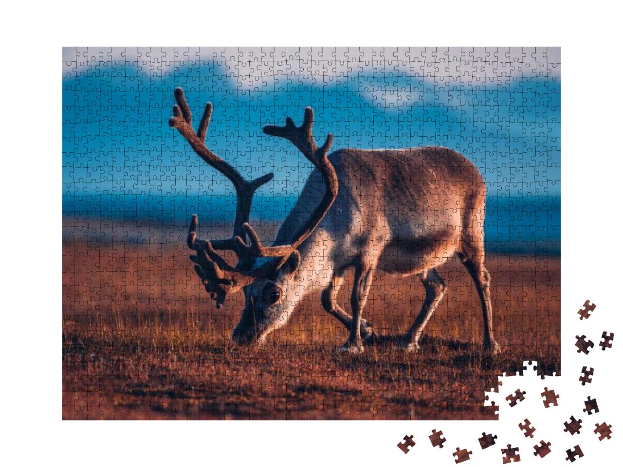 Landscape with Wild Reindeer. Summer Svalbard. with Massi... Jigsaw Puzzle with 1000 pieces