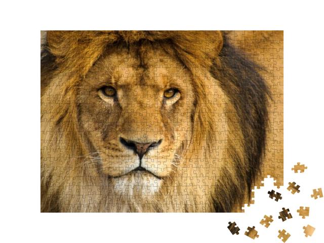 Beautiful Mighty Lion... Jigsaw Puzzle with 500 pieces