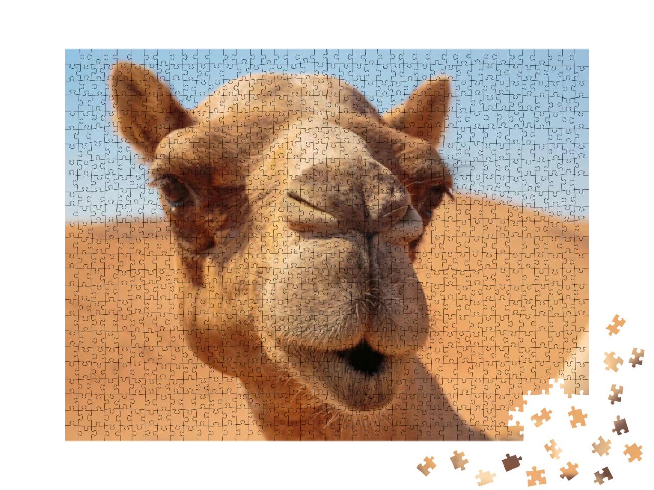 Camels in the Desert... Jigsaw Puzzle with 1000 pieces