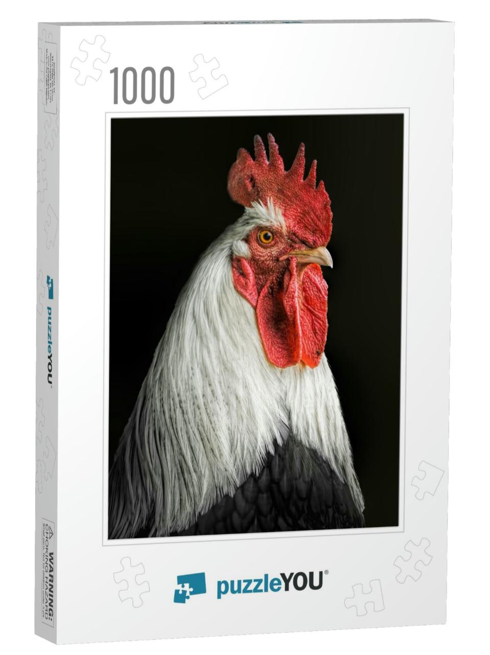 Portrait of a Rooster with a Black Background... Jigsaw Puzzle with 1000 pieces
