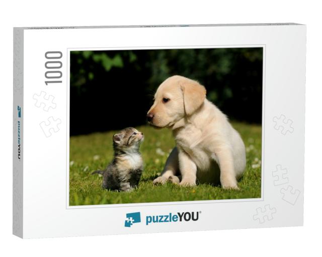 Cat & Dog... Jigsaw Puzzle with 1000 pieces