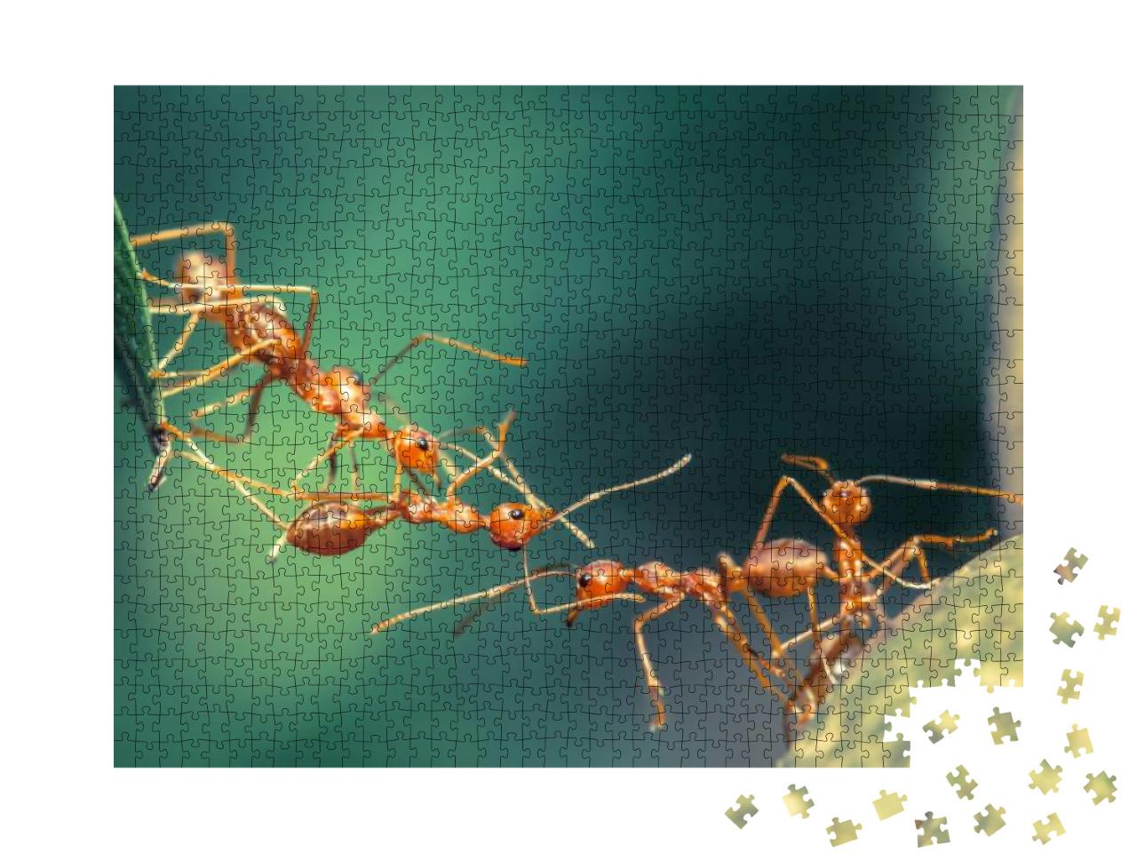 Ant Bridge Unity... Jigsaw Puzzle with 1000 pieces