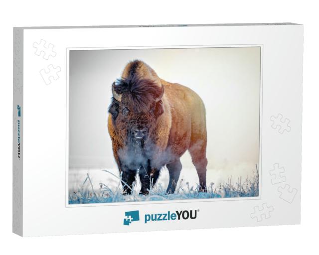 Prairie Bison in a Frosty Winter Morning... Jigsaw Puzzle