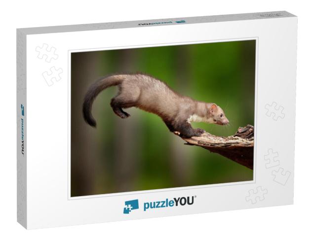 Jump in the Nature. Jumping Beech Marten, Small Opportuni... Jigsaw Puzzle