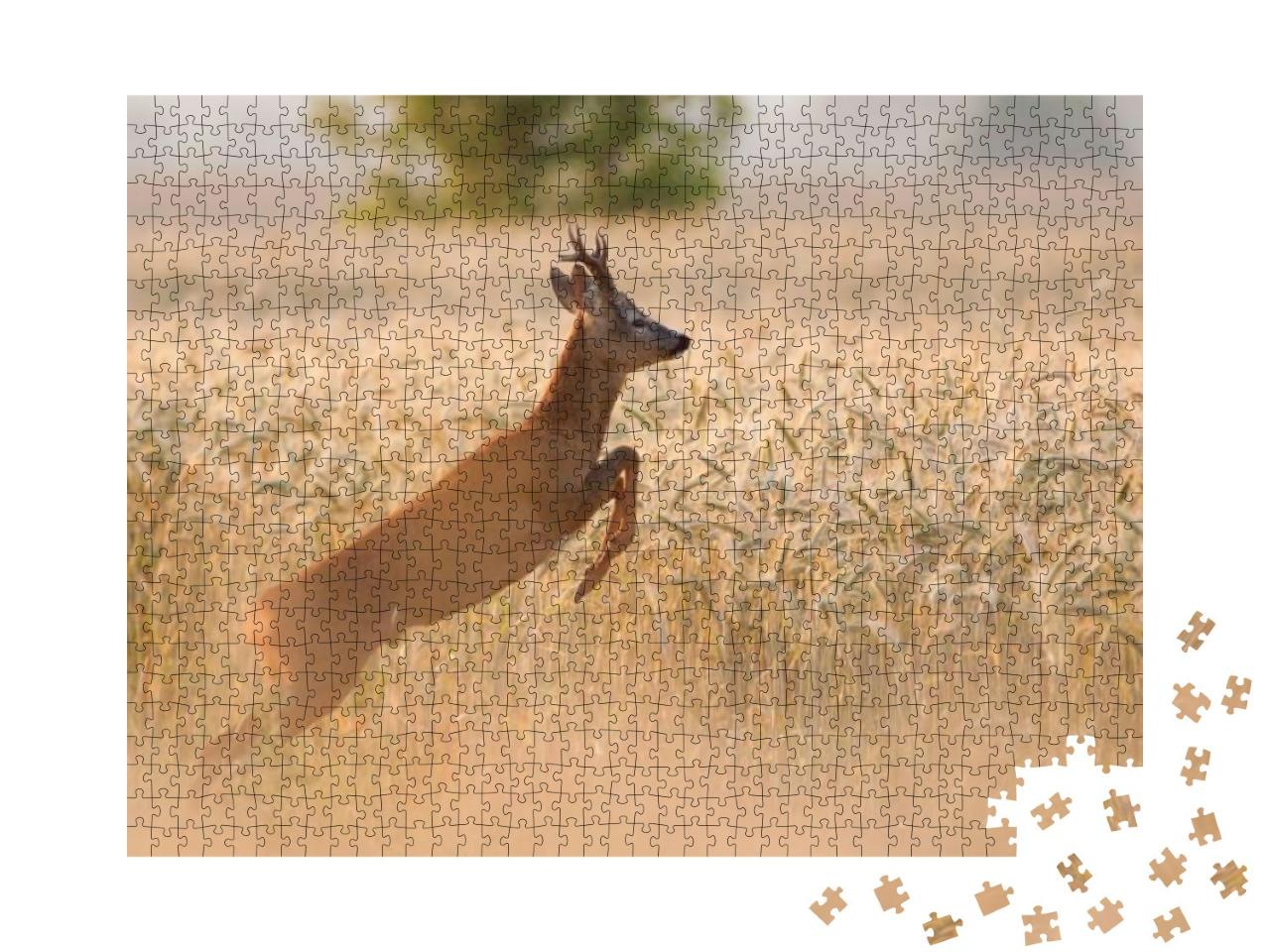 Roe Deer Buck... Jigsaw Puzzle with 1000 pieces