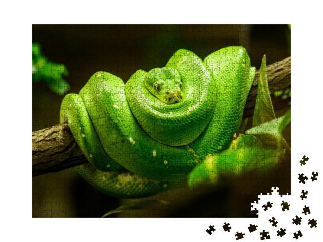 Green Snake on the Branch... Jigsaw Puzzle with 1000 pieces