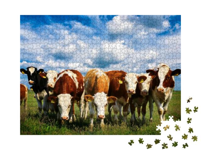 Cows on a Green Summer Meadow... Jigsaw Puzzle with 1000 pieces