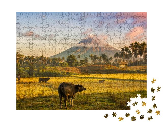 Mayon Volcano in Legazpi City Philippines with a Mangrove... Jigsaw Puzzle with 1000 pieces