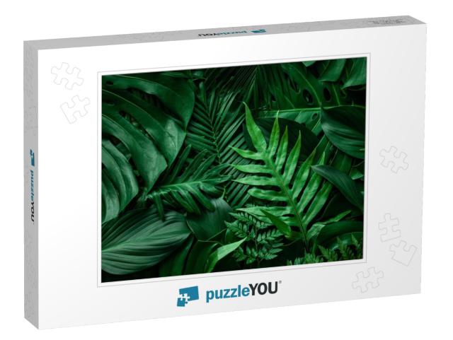 Closeup Nature View of Green Leaf & Palms Background. Fla... Jigsaw Puzzle