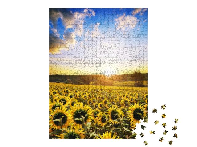 Spring Landscape with Blooming Sunflower Field At Sunset... Jigsaw Puzzle with 1000 pieces