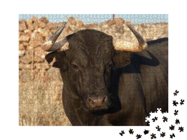 Specimen of Spanish Fighting Bull Breed, Closeup Head. Fi... Jigsaw Puzzle with 1000 pieces