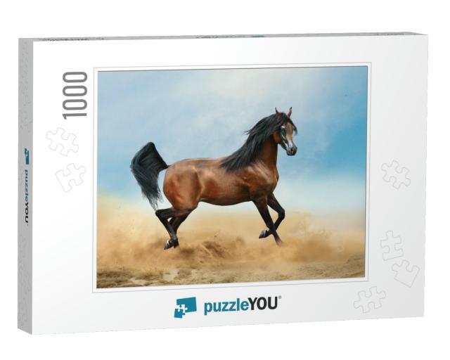 Bay Arabian Horse Running in Desert... Jigsaw Puzzle with 1000 pieces
