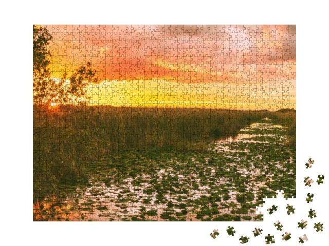Everglades Florida Wetland, Airboat Excursion Tour At Eve... Jigsaw Puzzle with 1000 pieces