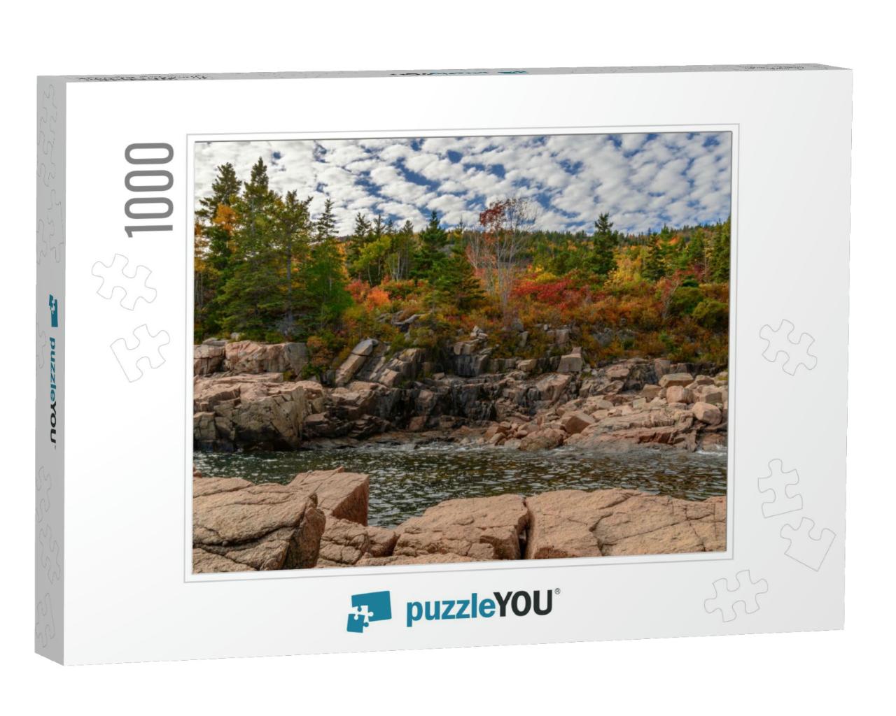Acadia National Park... Jigsaw Puzzle with 1000 pieces