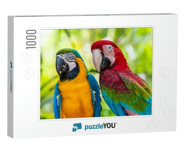 Blue & Gold Macaw or Ara Ararauna & Green Winged Macaw or... Jigsaw Puzzle with 1000 pieces