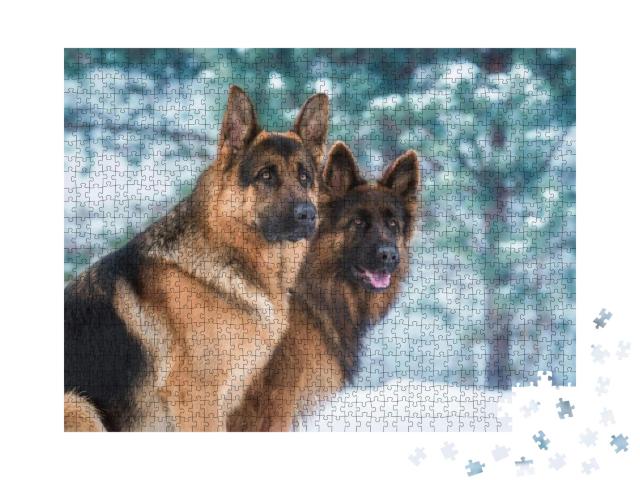 Portrait of Two German Shepherd Dogs in Winter... Jigsaw Puzzle with 1000 pieces
