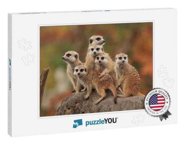 Group of Meerkat... Jigsaw Puzzle