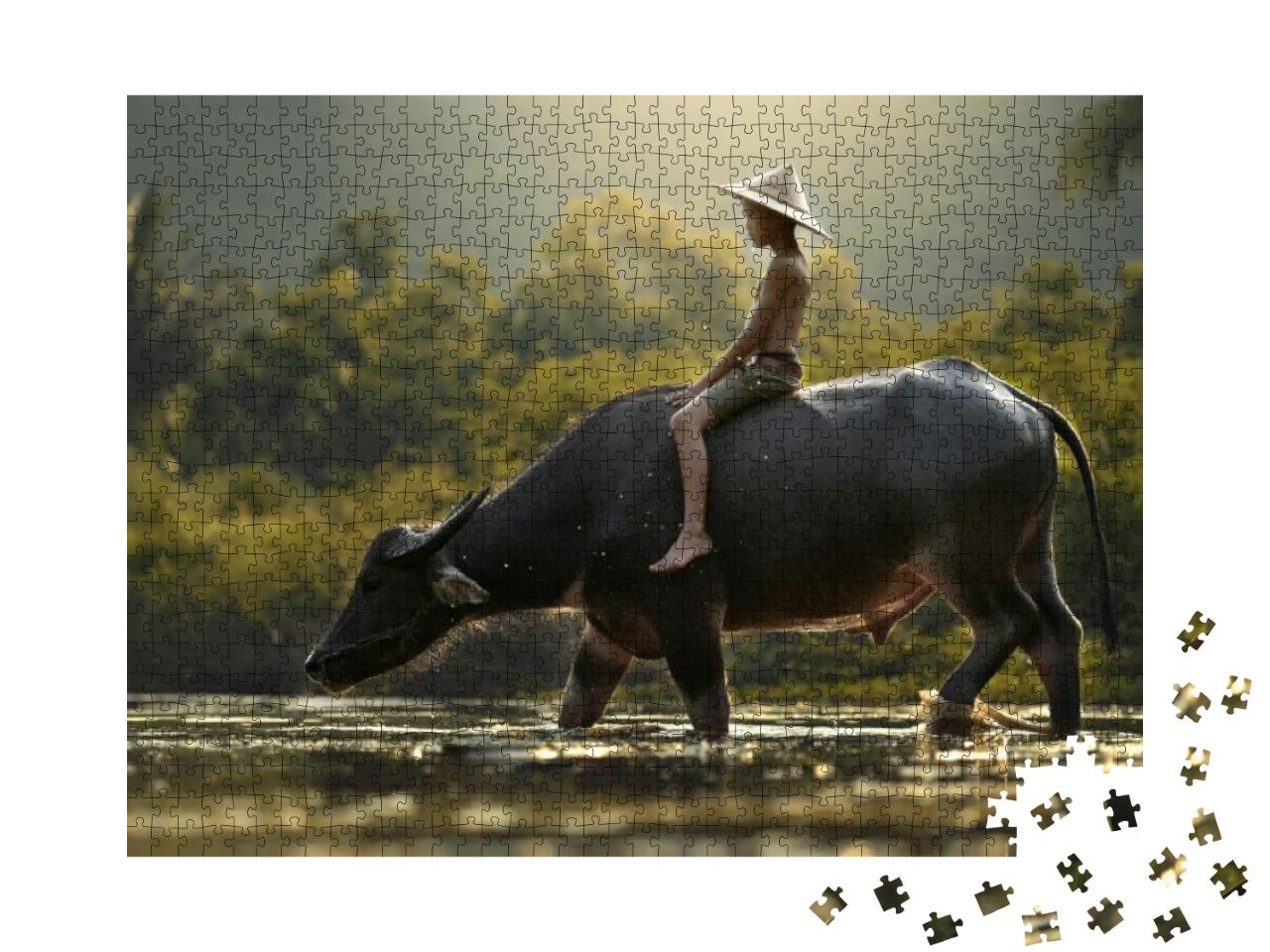 People Cambodia & Water Buffalo... Jigsaw Puzzle with 1000 pieces