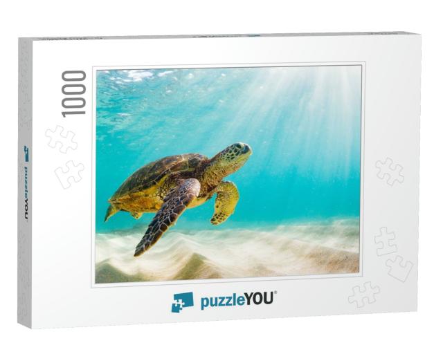 Photo of Sea Turtle in the Galapagos Island... Jigsaw Puzzle with 1000 pieces