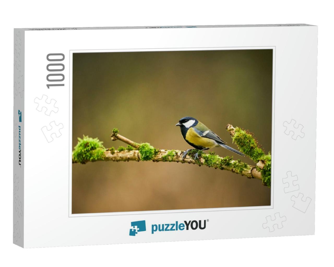Great Tit, Parus Major, Black & Yellow Songbird Sitting o... Jigsaw Puzzle with 1000 pieces