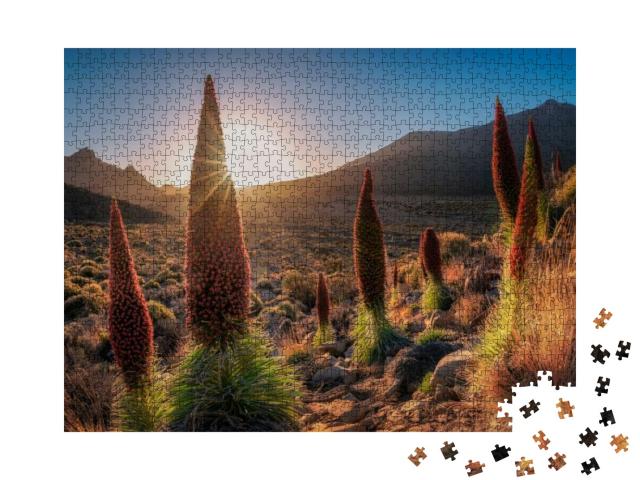 Landscape of Tenerife, Canary Islands... Jigsaw Puzzle with 1000 pieces