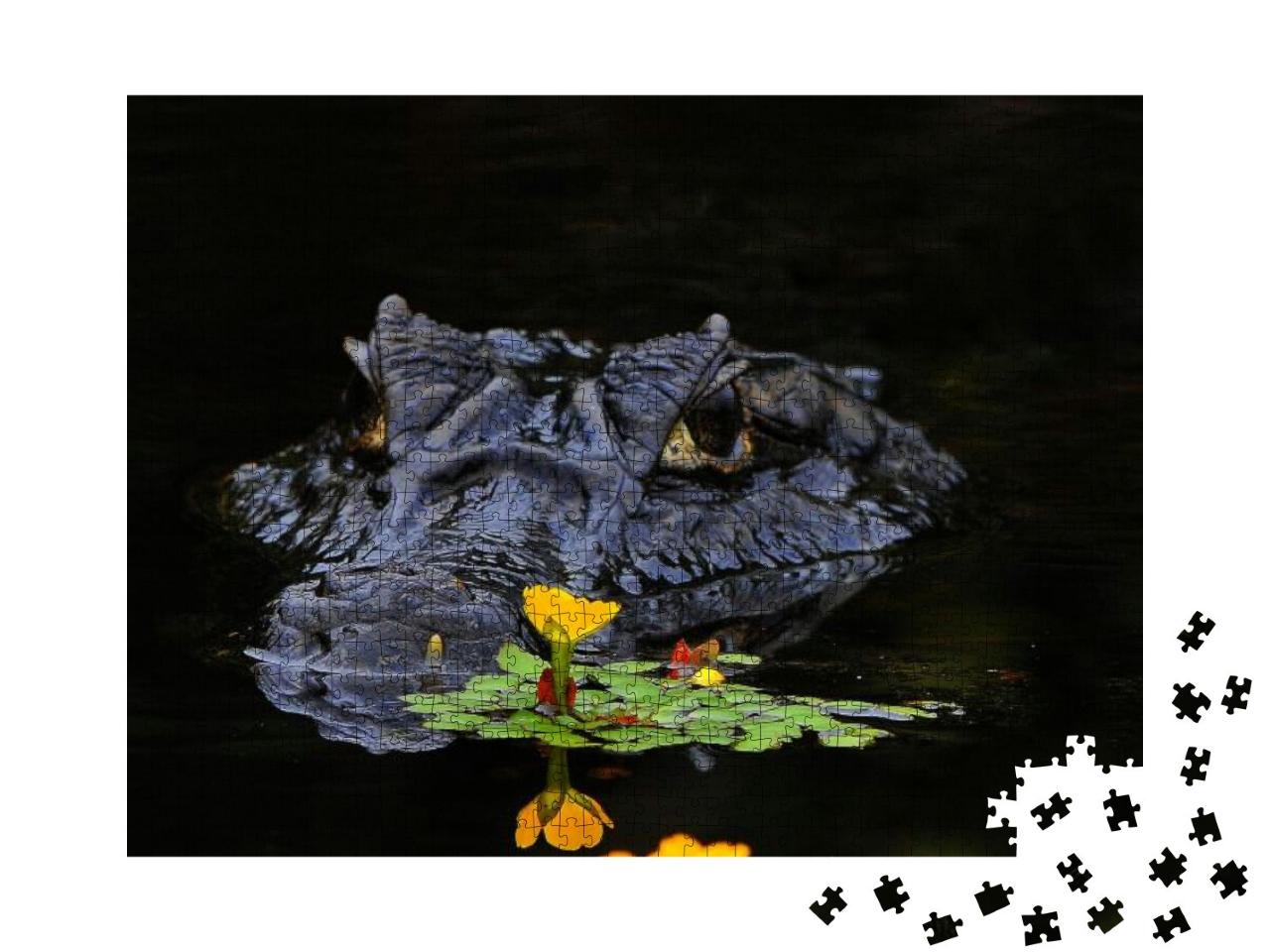 Caimans Are Crocodiles... Jigsaw Puzzle with 1000 pieces