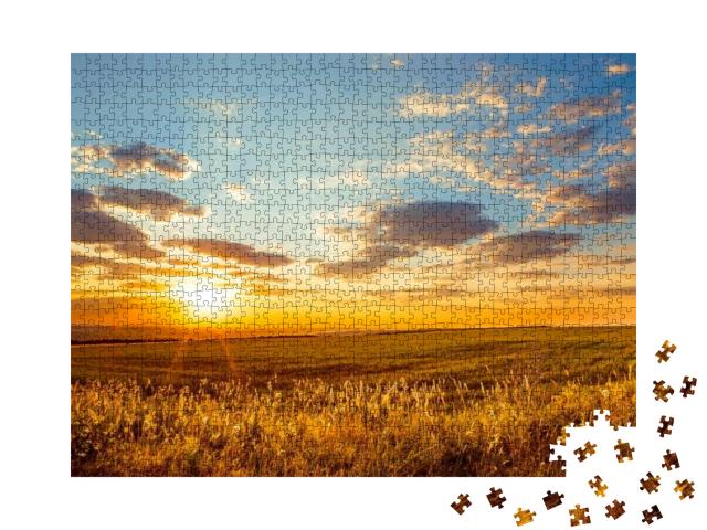 Saratov Region, Travel, Landscape & Nature of Russia. Yel... Jigsaw Puzzle with 1000 pieces
