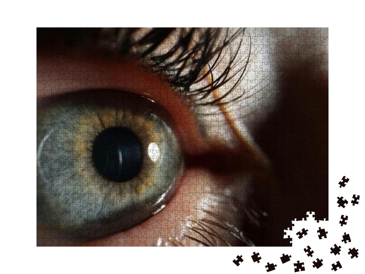Female Eye with Black Painted Eyelashes Closeup... Jigsaw Puzzle with 1000 pieces