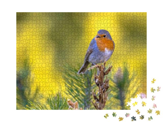 Red Robin Erithacus Rubecula Bird Foraging in an Ecologic... Jigsaw Puzzle with 1000 pieces