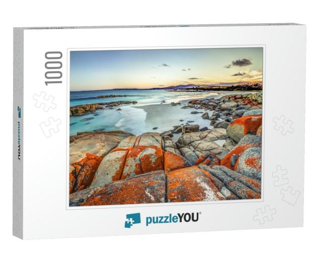 Dramatic Landscape in the Gardens, Bay of Fires Conservat... Jigsaw Puzzle with 1000 pieces