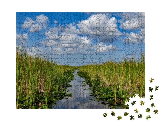 Florida Wetland in the Everglades National Park in Usa. P... Jigsaw Puzzle with 1000 pieces