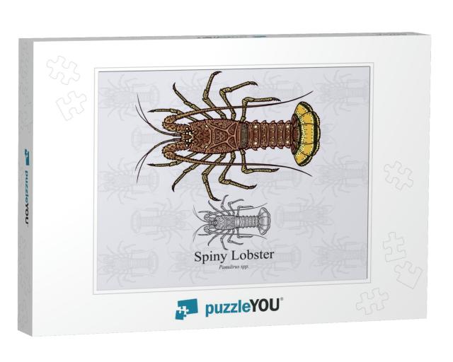 Spiny Lobster. Vector Illustration with Refined De... Jigsaw Puzzle