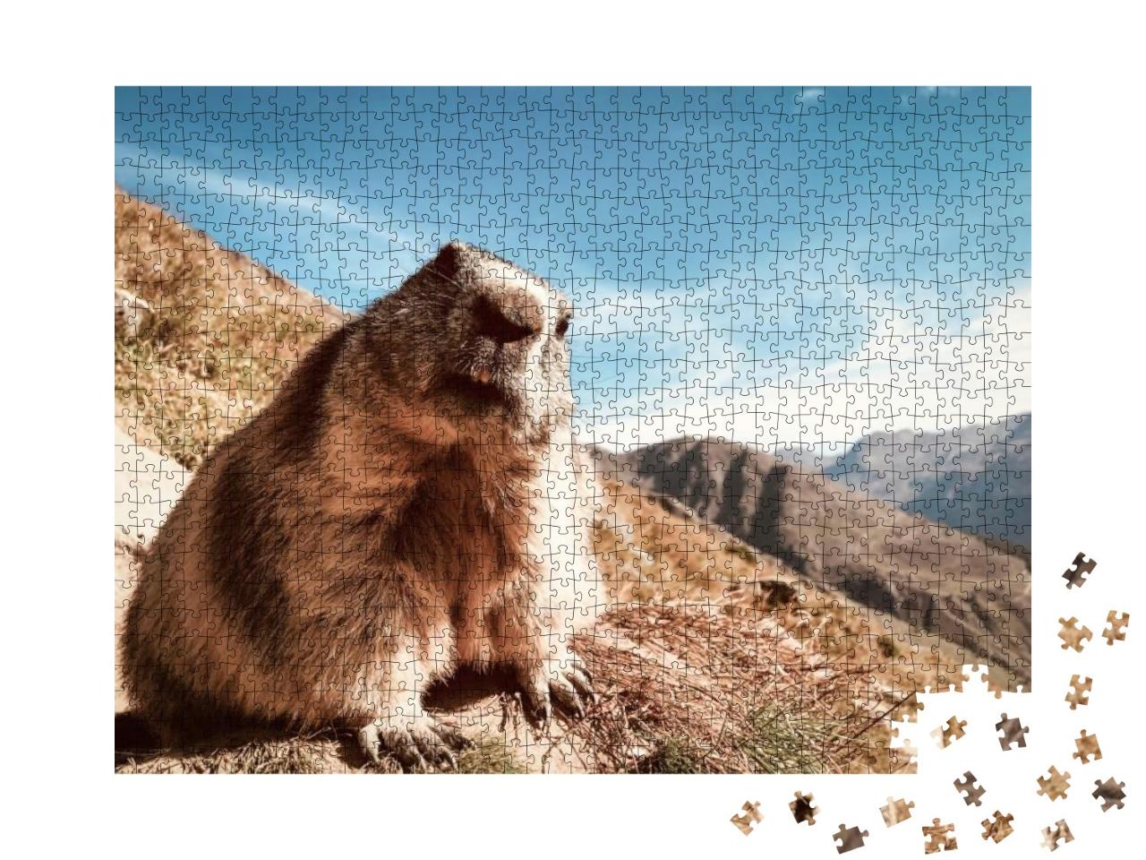 Marmot with Questioning Look... Jigsaw Puzzle with 1000 pieces
