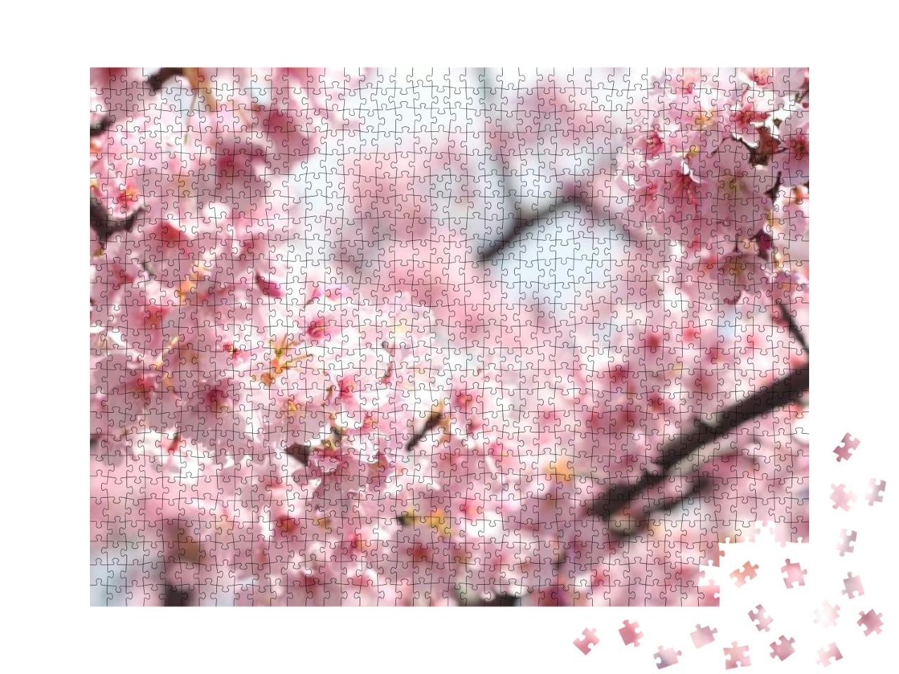 Beautiful & Cute Pink Cherry Blossoms Sakura Flowers, Wal... Jigsaw Puzzle with 1000 pieces