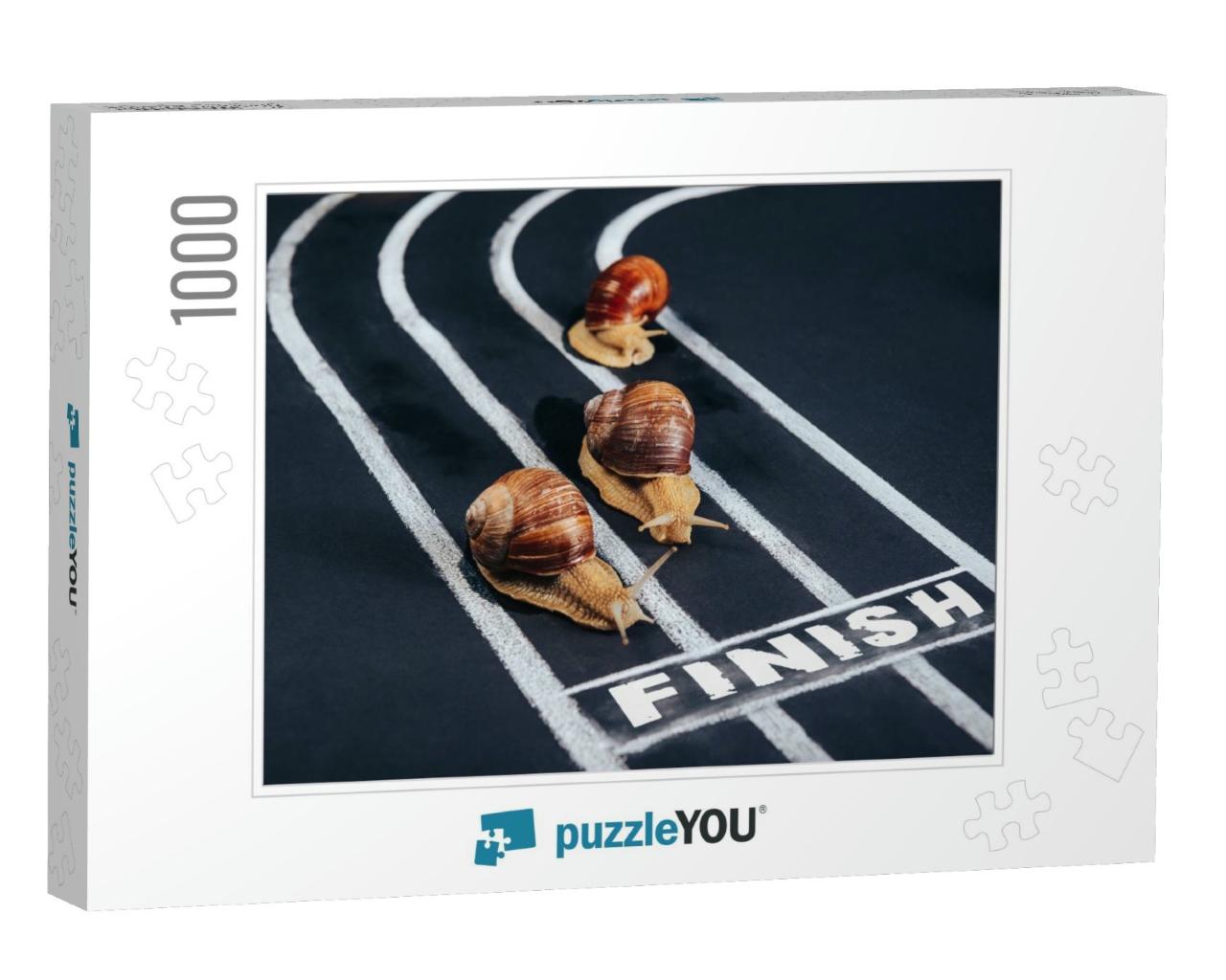 Three Snails Crawl Along the Treadmill to the Finish... Jigsaw Puzzle with 1000 pieces