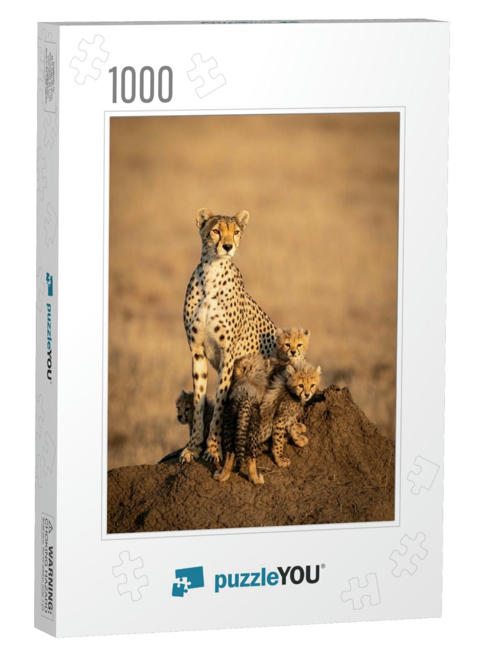 Vertical Portrait of a Female Cheetah & Her Four Small Ba... Jigsaw Puzzle with 1000 pieces