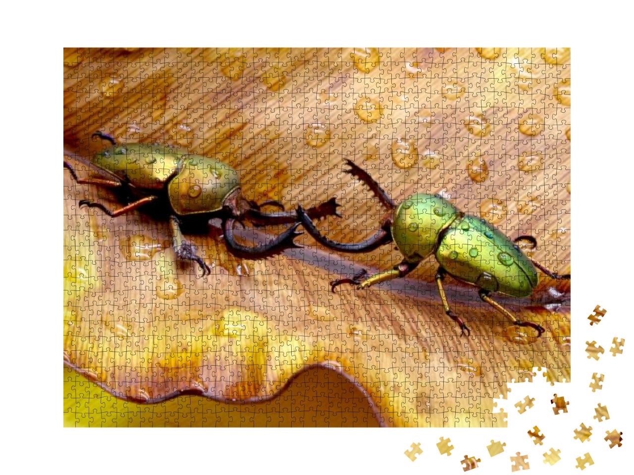 Beetles, Sawtooth Beetles, Golden & Green Metallic Sawtoo... Jigsaw Puzzle with 1000 pieces