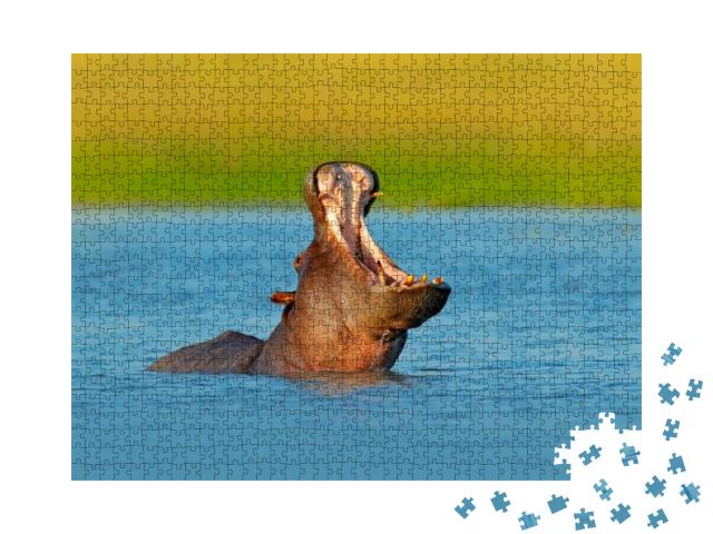 Hippo with Open Muzzle in the Water. African Hippopotamus... Jigsaw Puzzle with 1000 pieces