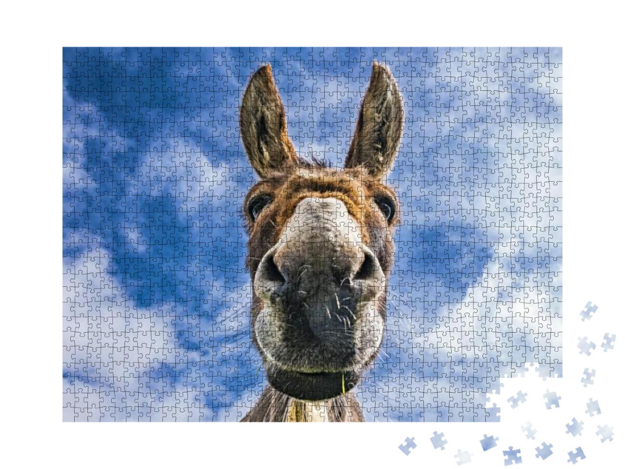 Donkey Close Up... Jigsaw Puzzle with 1000 pieces