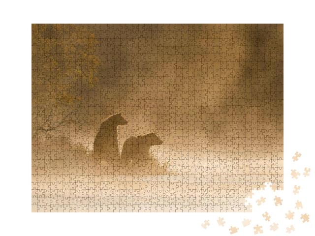 Grizzly Bear Ursus Arctos - on Golden Pond... Jigsaw Puzzle with 1000 pieces